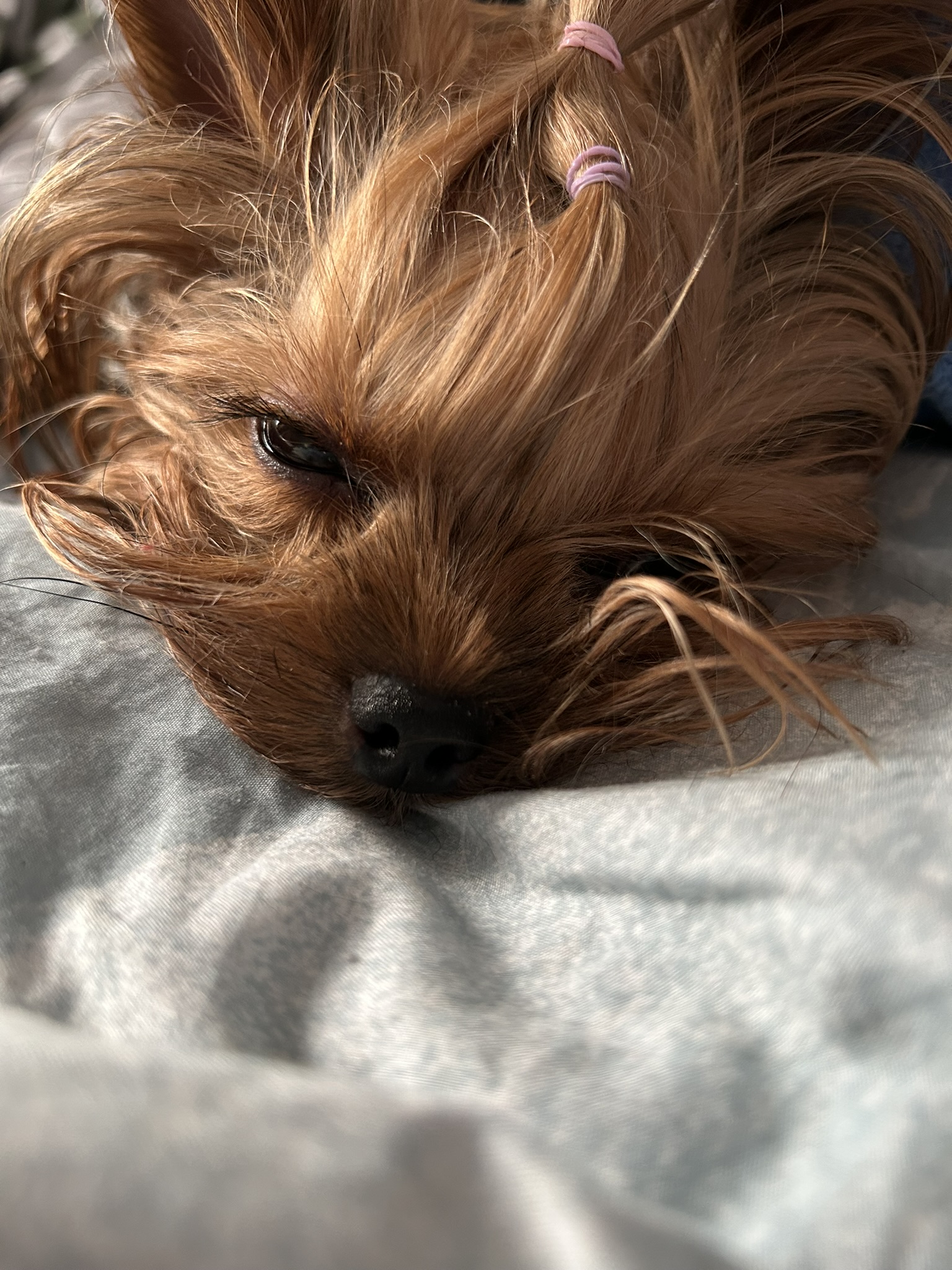 Petits yeux de princesse