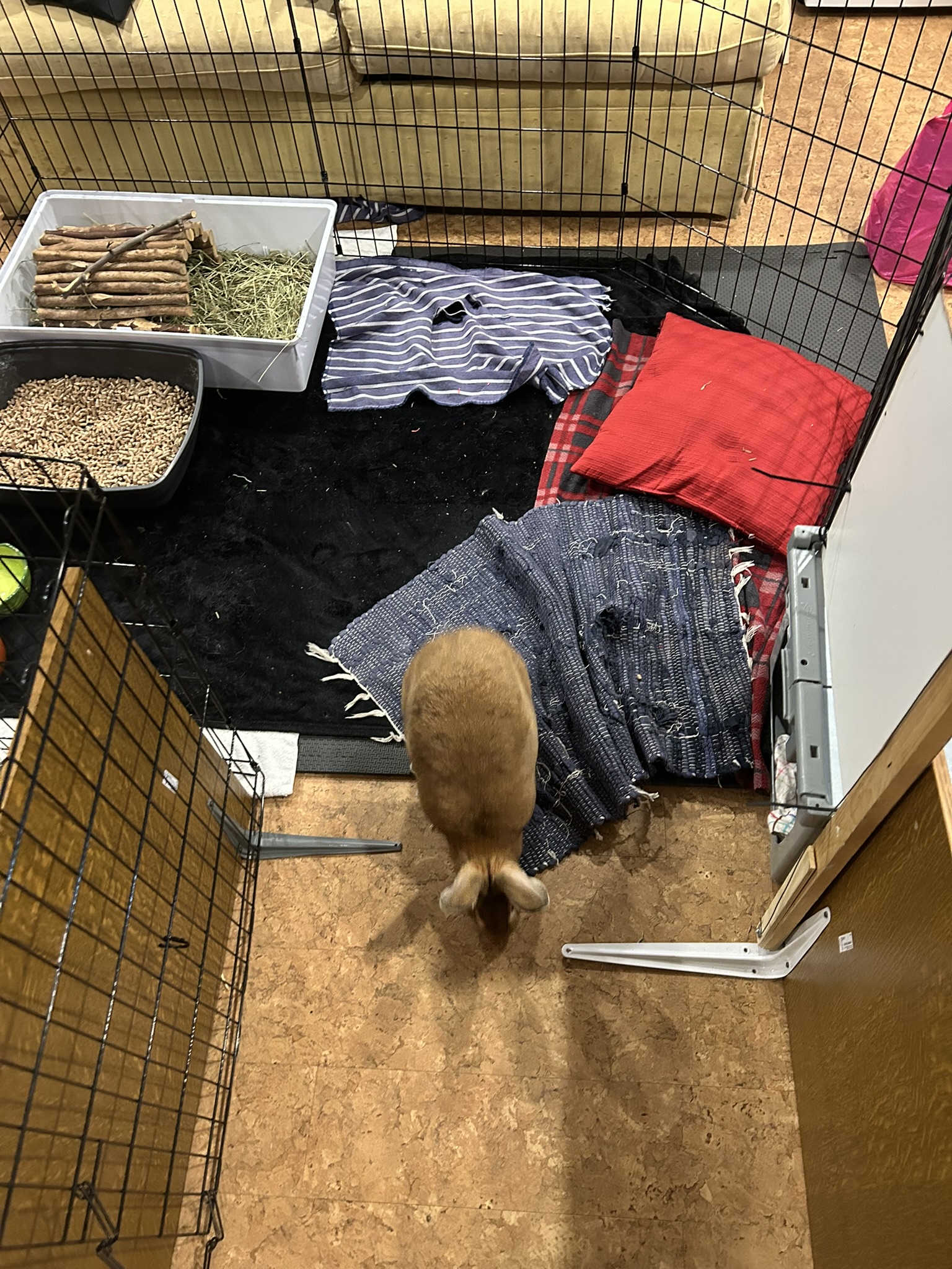 Balade dans la maison