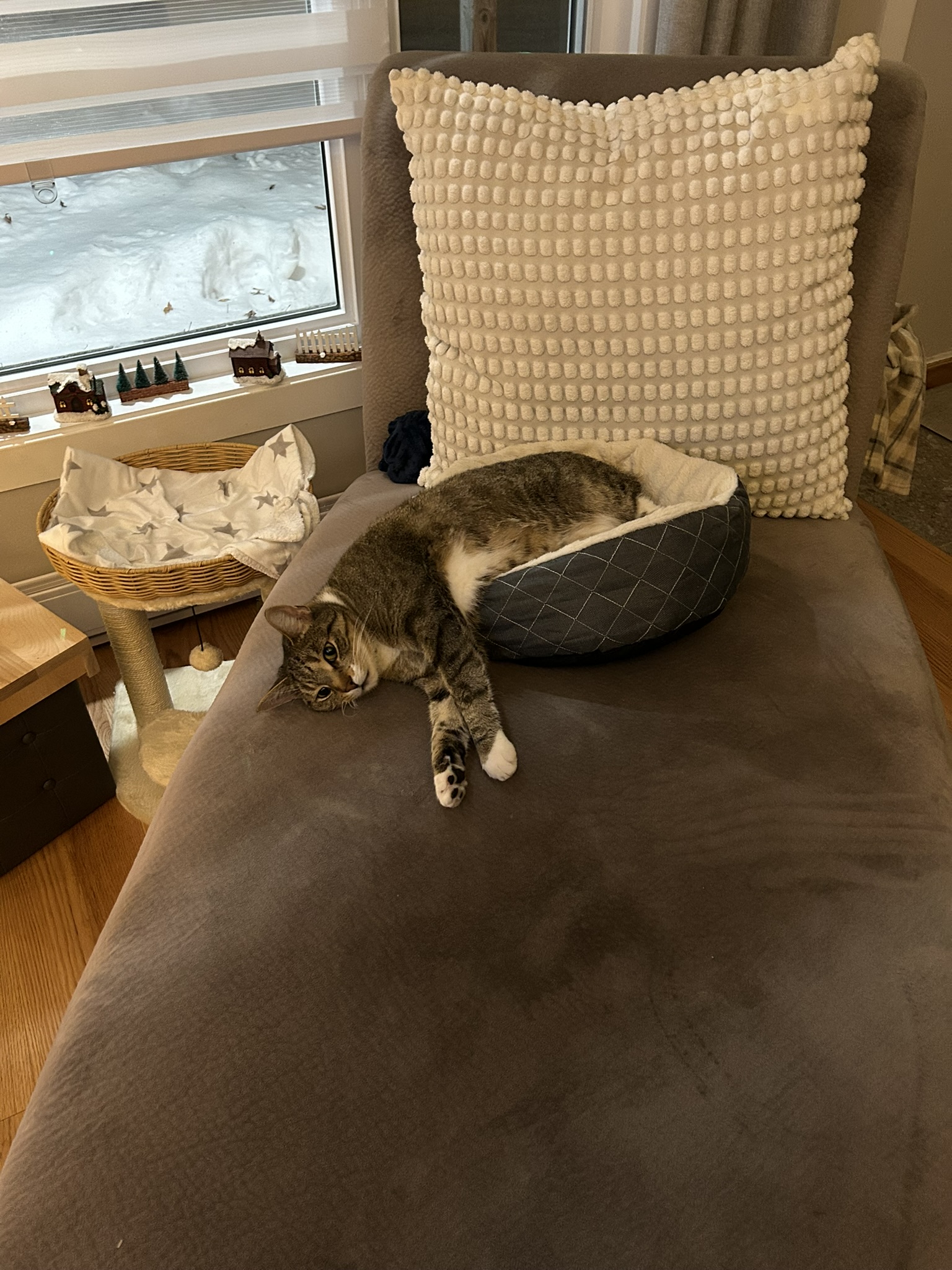 Le panier est trop petit